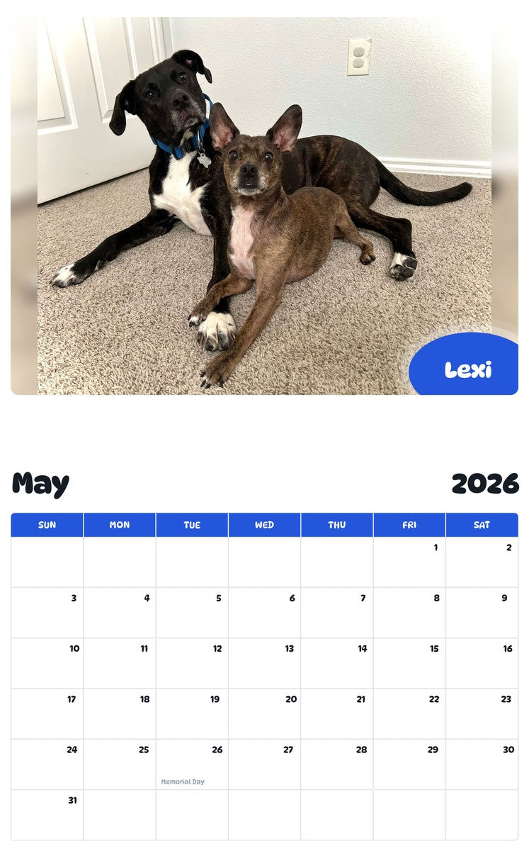 2026 - 2027 Lexi - Pawidols Pet Calendar