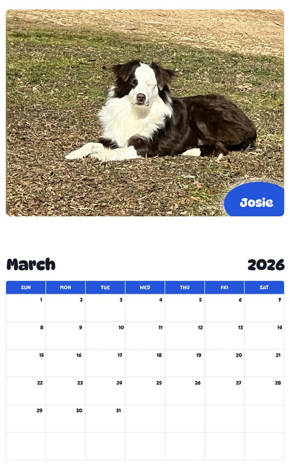 November 2025 - October 2026 Josie - Pawidols Pet Calendar