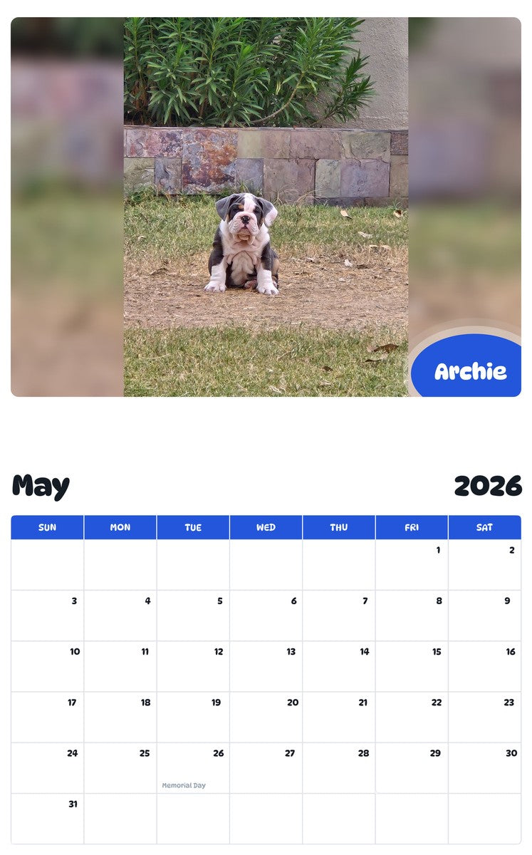 2026 - 2027 Archie - Pawidols Pet Calendar