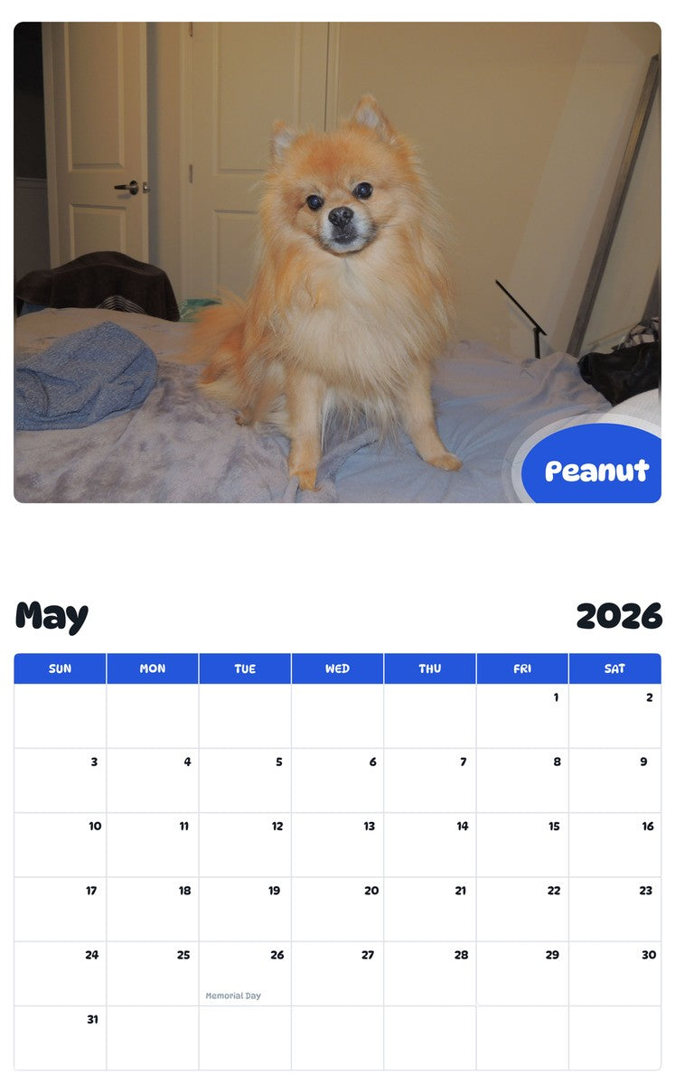 2026 - 2027 Peanut - Pawidols Pet Calendar