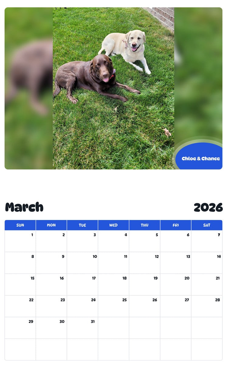 November 2025 - October 2026 Chloe & Chance - Pawidols Pet Calendar