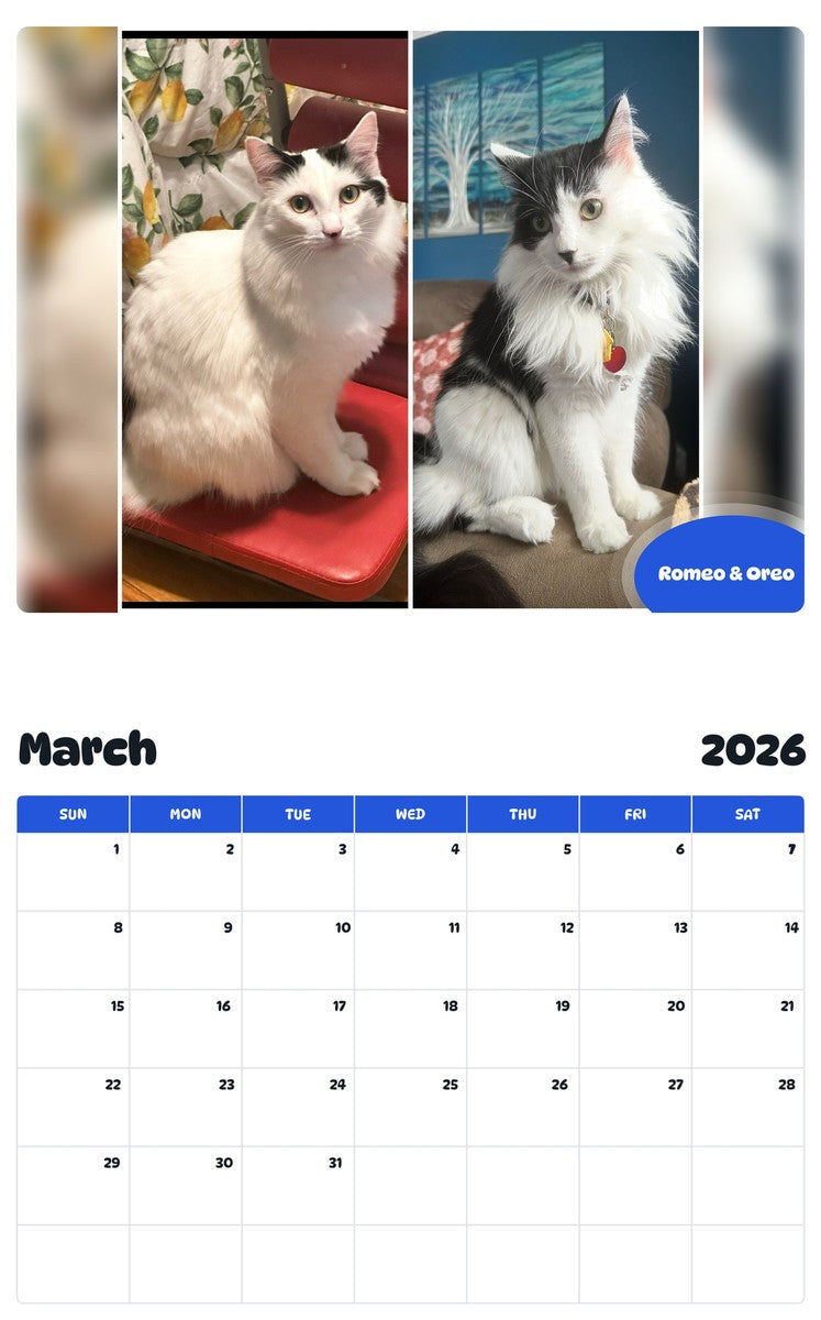 November 2025 - October 2026 Romeo & Oreo - Pawidols Pet Calendar