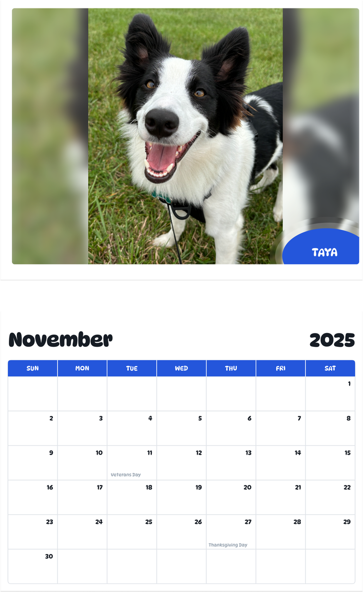 July 2025 - June 2026 Taya - Pawidols Pet Calendar