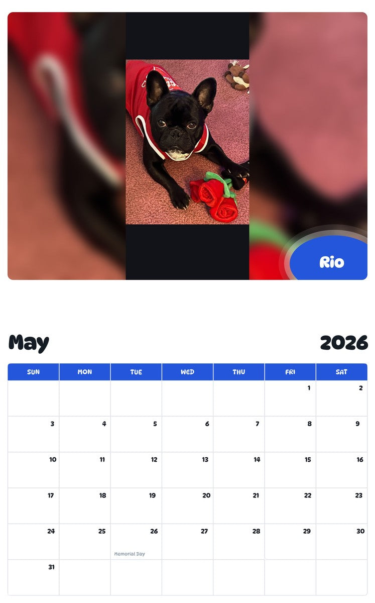 2026 - 2027 Rio - Pawidols Pet Calendar