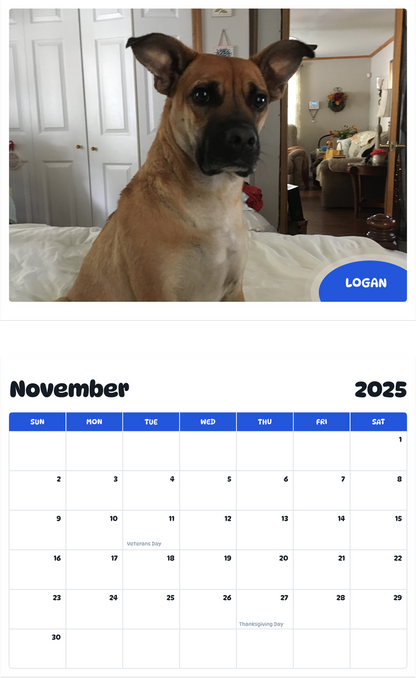 July 2025 - June 2026 Logan - Pawidols Pet Calendar