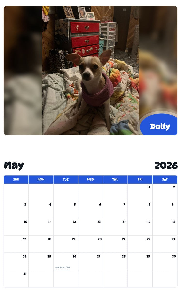 2026 - 2027 Dolly - Pawidols Pet Calendar
