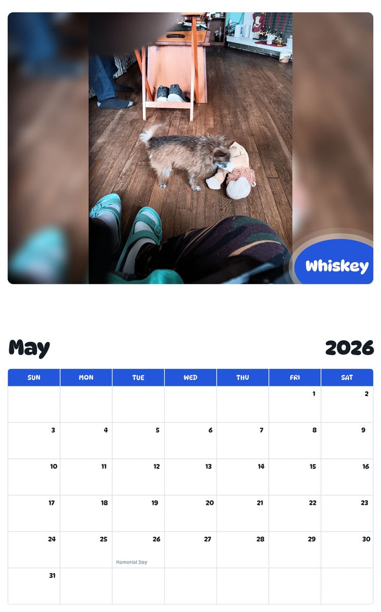 2026 - 2027 Whiskey - Pawidols Pet Calendar