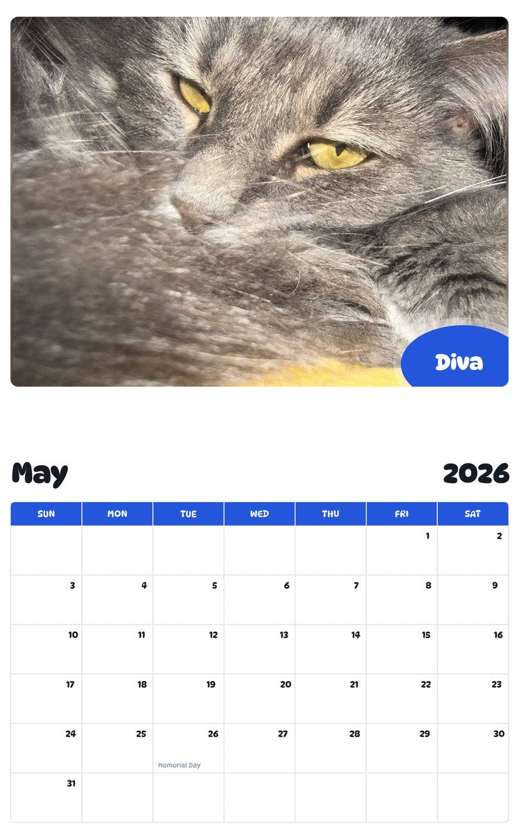 2026 - 2027 Diva - Pawidols Pet Calendar