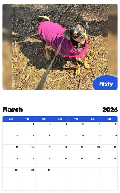 November 2025 - October 2026 Misty - Pawidols Pet Calendar