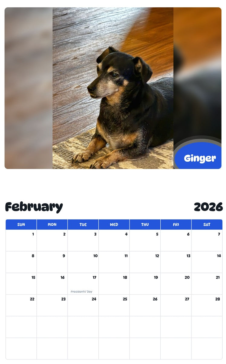 October 2025 - September 2026 Ginger - Pawidols Pet Calendar