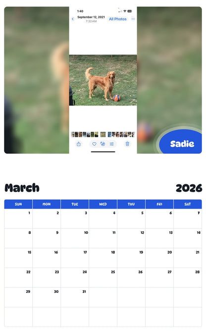 November 2025 - October 2026 Sadie - Pawidols Pet Calendar