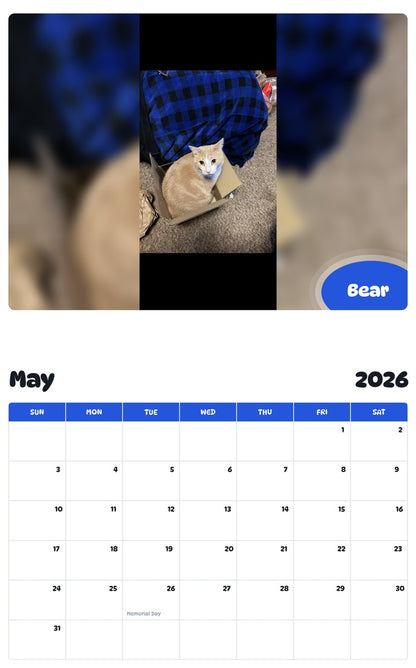 2026 - 2027 Bear - Pawidols Pet Calendar