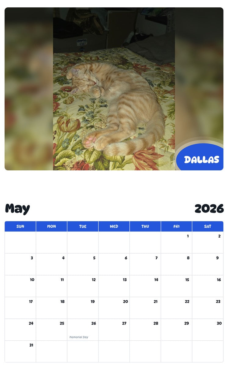 2026 - 2027 DALLAS - Pawidols Pet Calendar