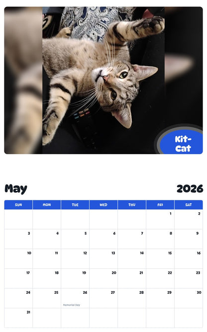 2026 - 2027 Kit-Cat - Pawidols Pet Calendar