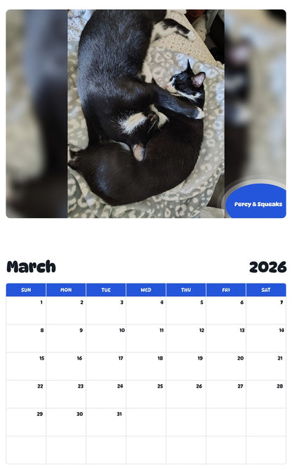November 2025 - October 2026 Percy & Squeaks - Pawidols Pet Calendar