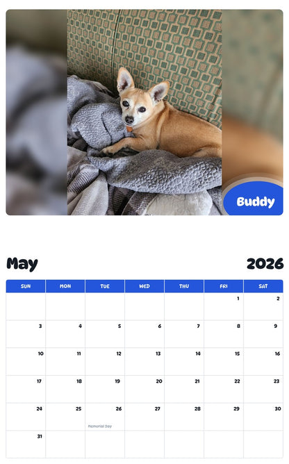 2026 - 2027 Buddy - Pawidols Pet Calendar
