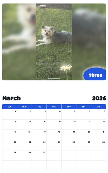 November 2025 - October 2026 Three - Pawidols Pet Calendar