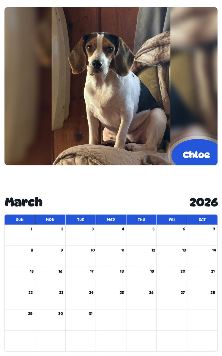 November 2025 - October 2026 Chloe - Pawidols Pet Calendar