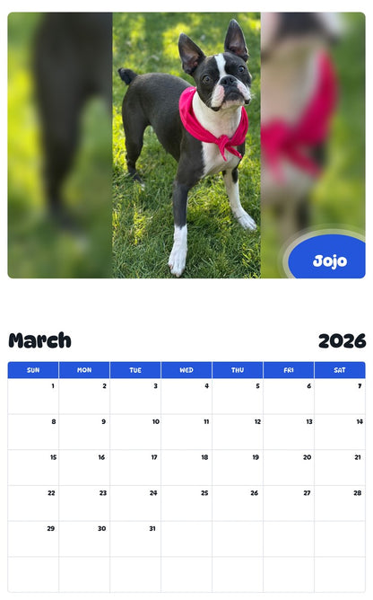 November 2025 - October 2026 Jojo - Pawidols Pet Calendar