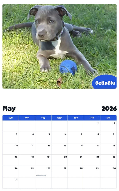 2026 - 2027 BellaBlu - Pawidols Pet Calendar