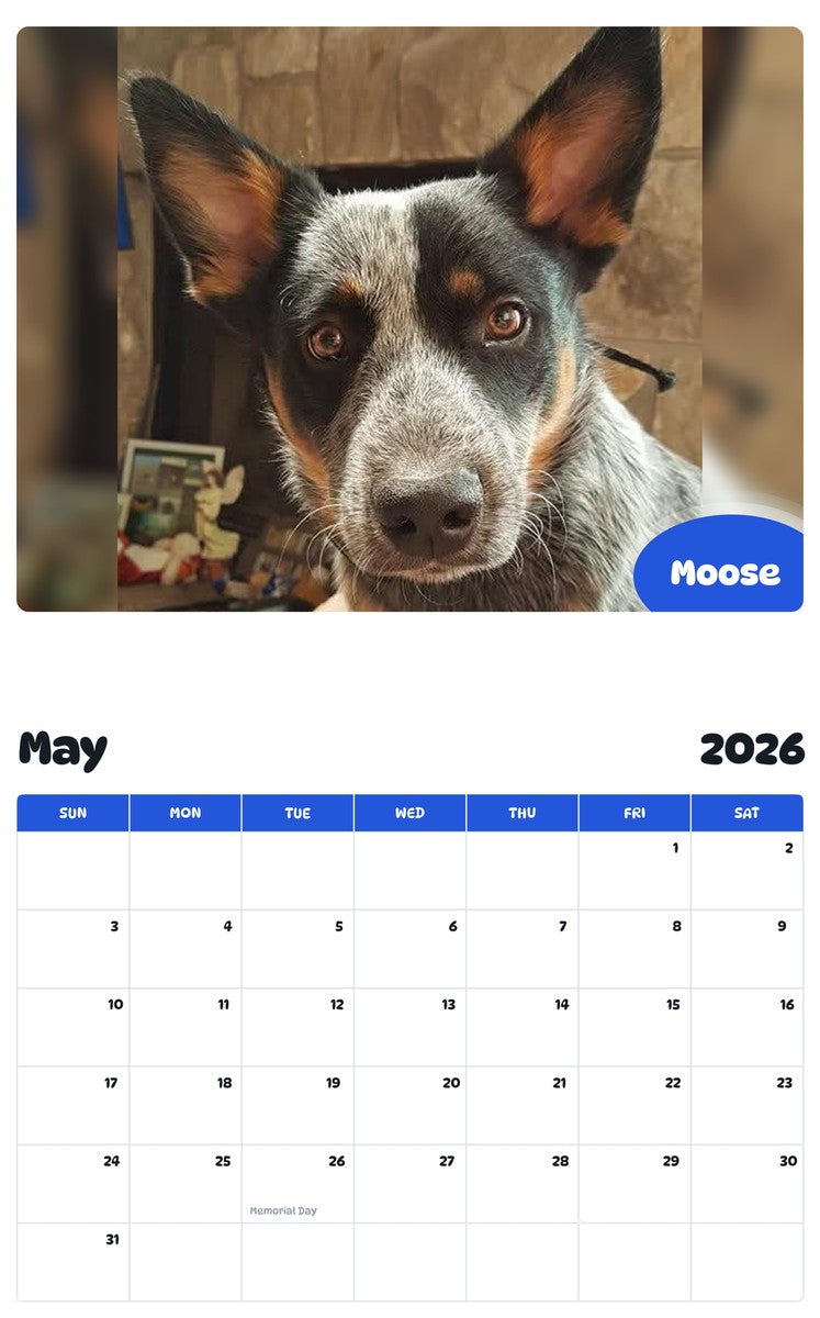 2026 - 2027 Moose - Pawidols Pet Calendar
