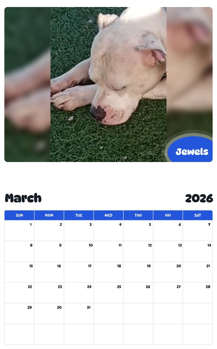 November 2025 - October 2026 Jewels - Pawidols Pet Calendar