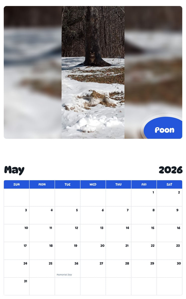2026 - 2027 Poon - Pawidols Pet Calendar