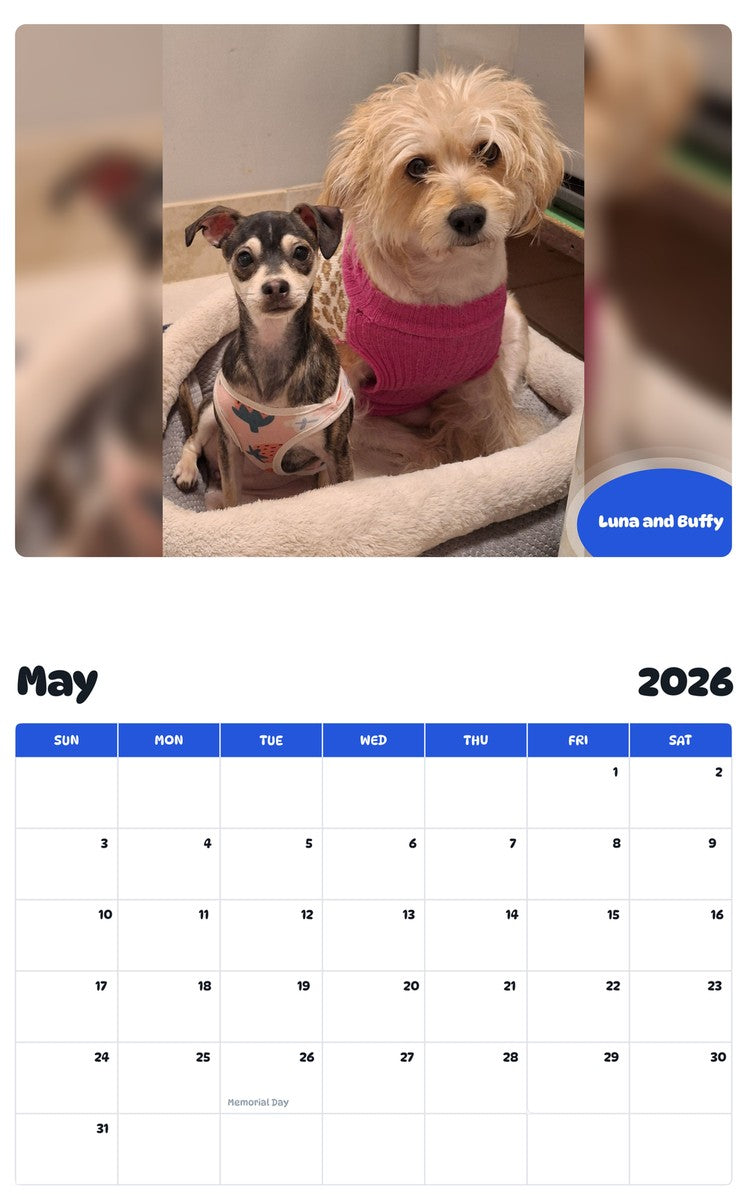 2026 - 2027 Luna and Buffy - Pawidols Pet Calendar