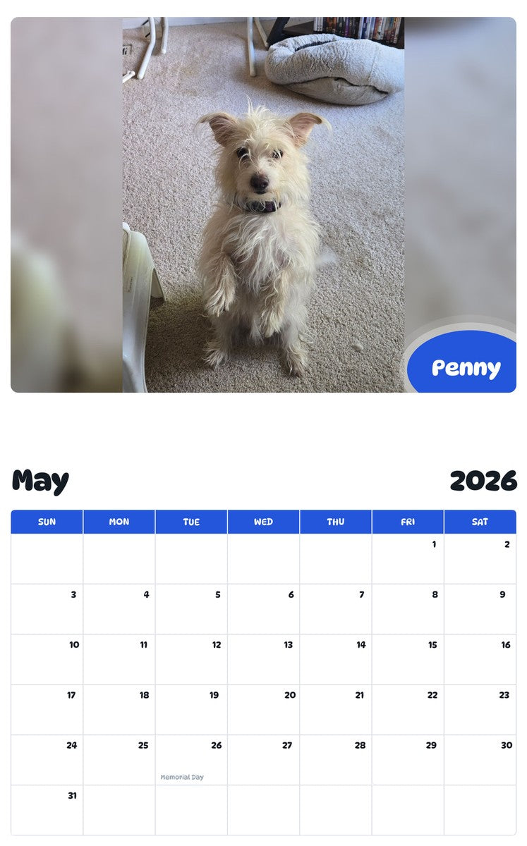 2026 - 2027 Penny - Pawidols Pet Calendar