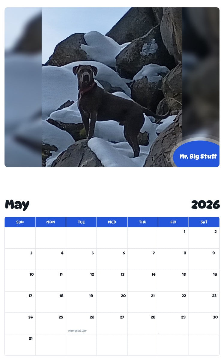 2026 - 2027 Mr. Big Stuff - Pawidols Pet Calendar