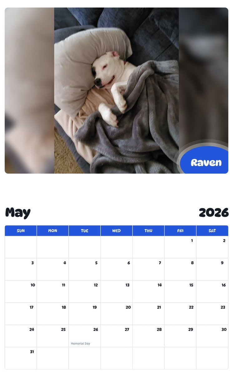 2026 - 2027 Raven - Pawidols Pet Calendar