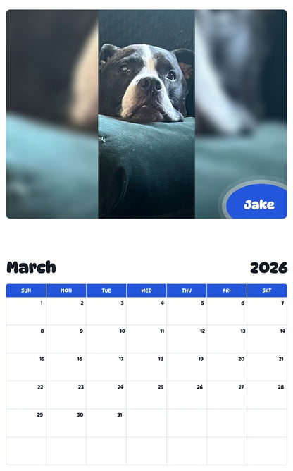 November 2025 - October 2026 Jake - Pawidols Pet Calendar