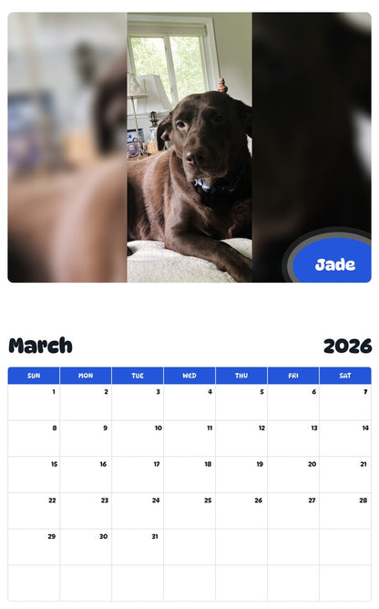 November 2025 - October 2026 Jade - Pawidols Pet Calendar