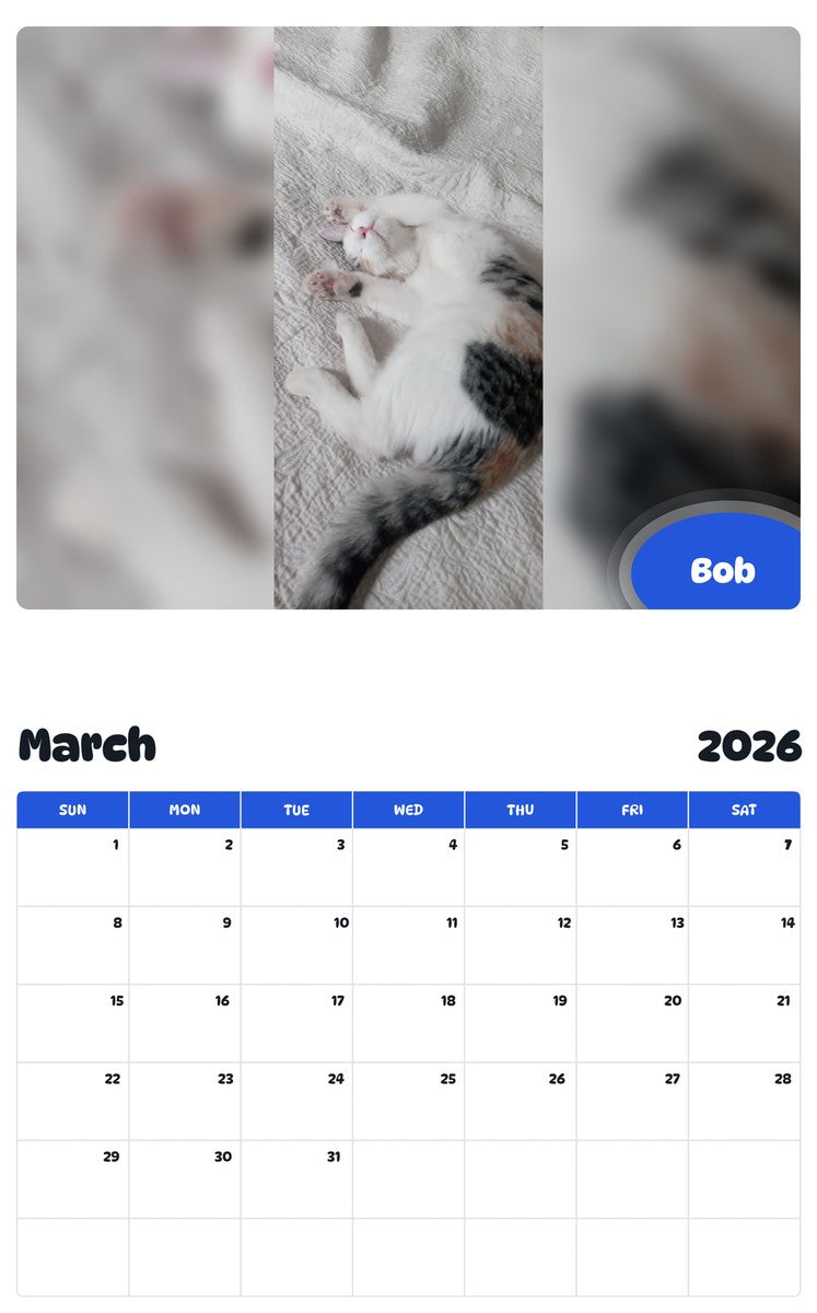 November 2025 - October 2026 Bob - Pawidols Pet Calendar