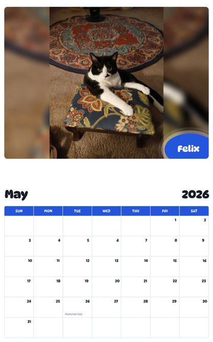 2026 - 2027 Felix - Pawidols Pet Calendar