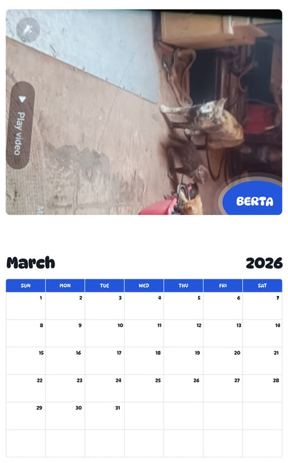 November 2025 - October 2026 BERTA - Pawidols Pet Calendar