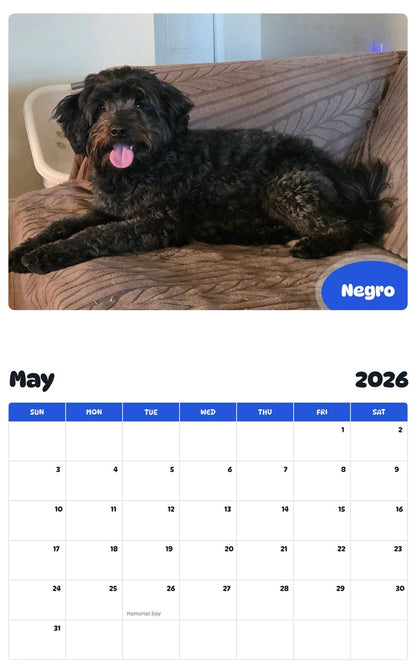 2026 - 2027 Negro - Pawidols Pet Calendar