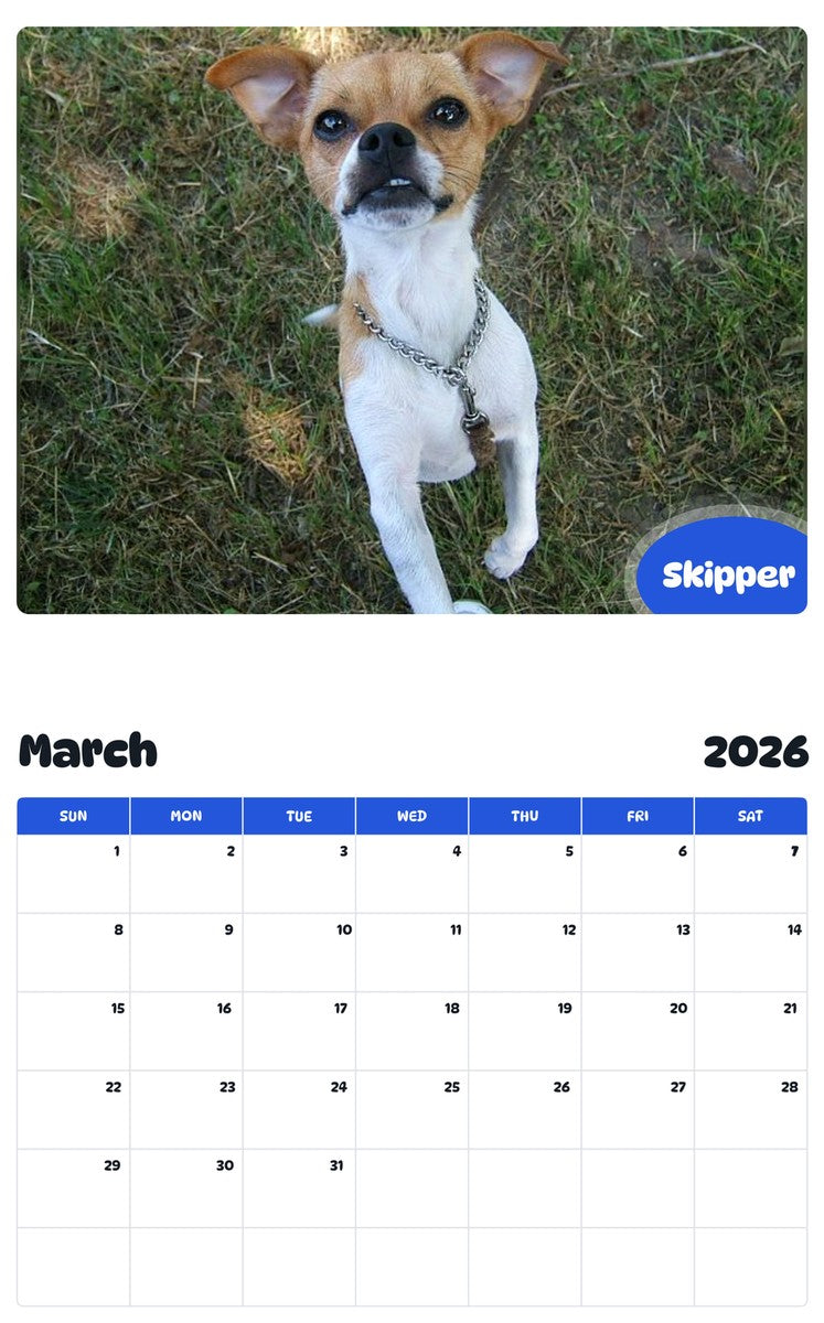 November 2025 - October 2026 Skipper - Pawidols Pet Calendar