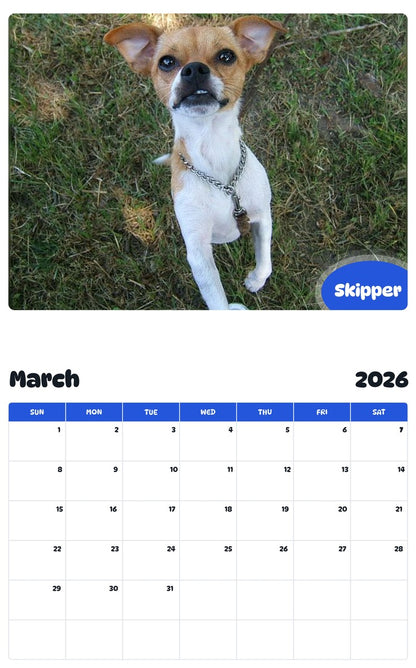November 2025 - October 2026 Skipper - Pawidols Pet Calendar