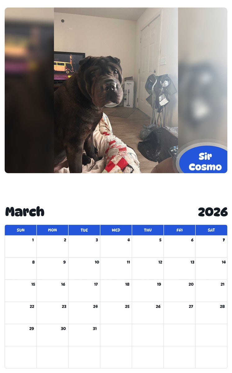 November 2025 - October 2026 Sir Cosmo - Pawidols Pet Calendar