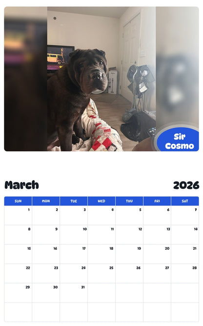 November 2025 - October 2026 Sir Cosmo - Pawidols Pet Calendar