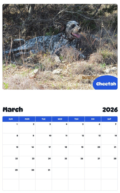 November 2025 - October 2026 Cheetah - Pawidols Pet Calendar