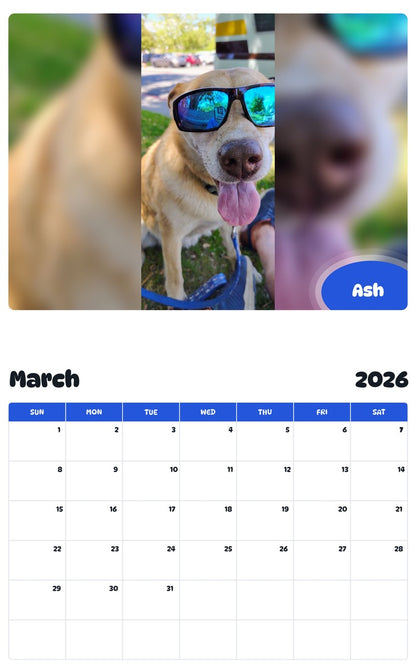 November 2025 - October 2026 Ash - Pawidols Pet Calendar