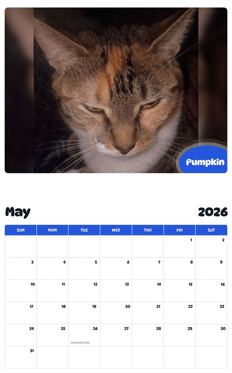 2026 - 2027 Pumpkin - Pawidols Pet Calendar