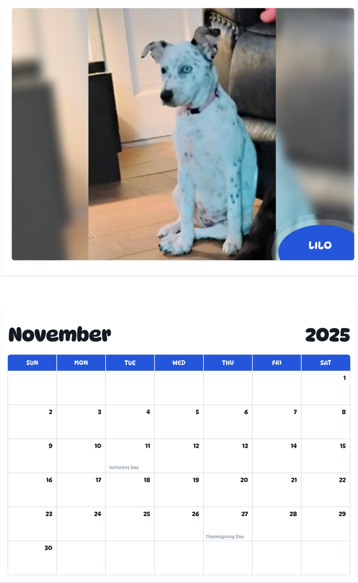 July 2025 - June 2026 Lilo - Pawidols Pet Calendar