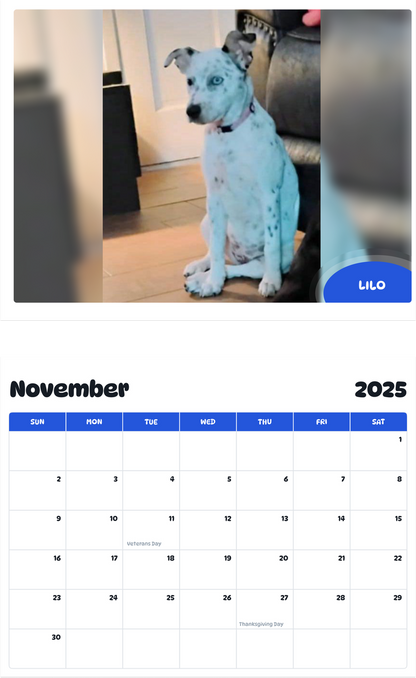 July 2025 - June 2026 Lilo - Pawidols Pet Calendar