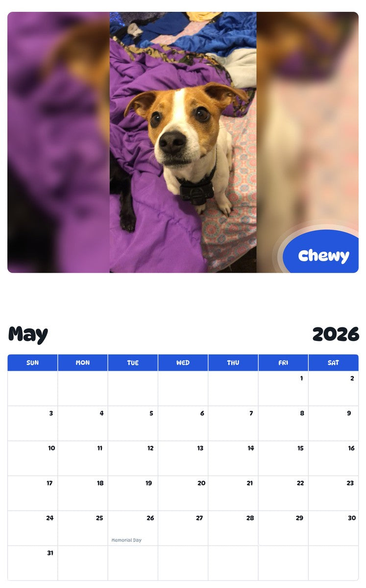 2026 - 2027 Chewy - Pawidols Pet Calendar