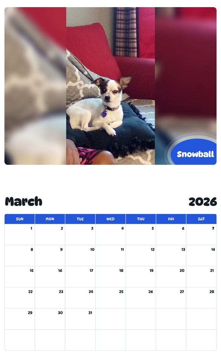 November 2025 - October 2026 Snowball - Pawidols Pet Calendar