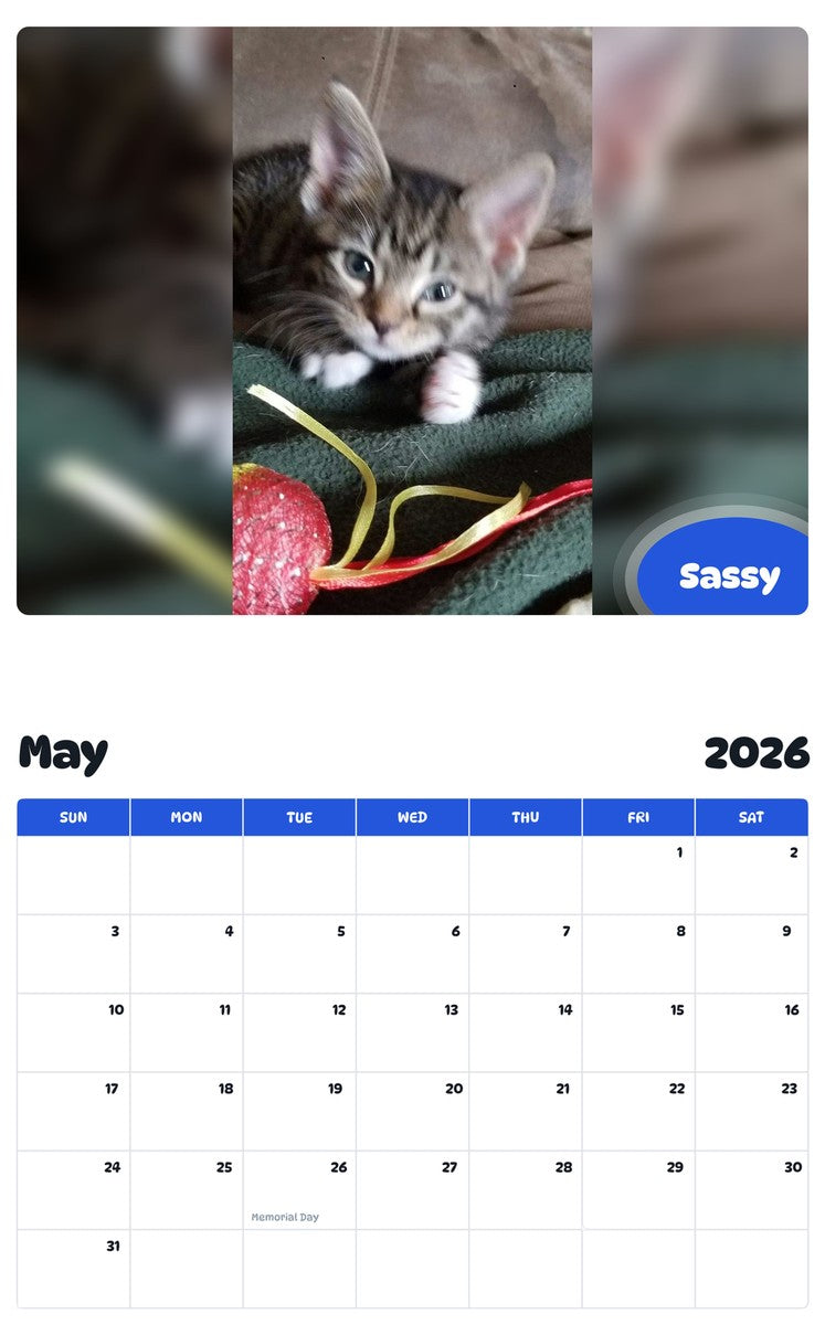 2026 - 2027 Sassy - Pawidols Pet Calendar