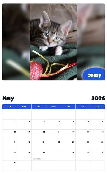 2026 - 2027 Sassy - Pawidols Pet Calendar